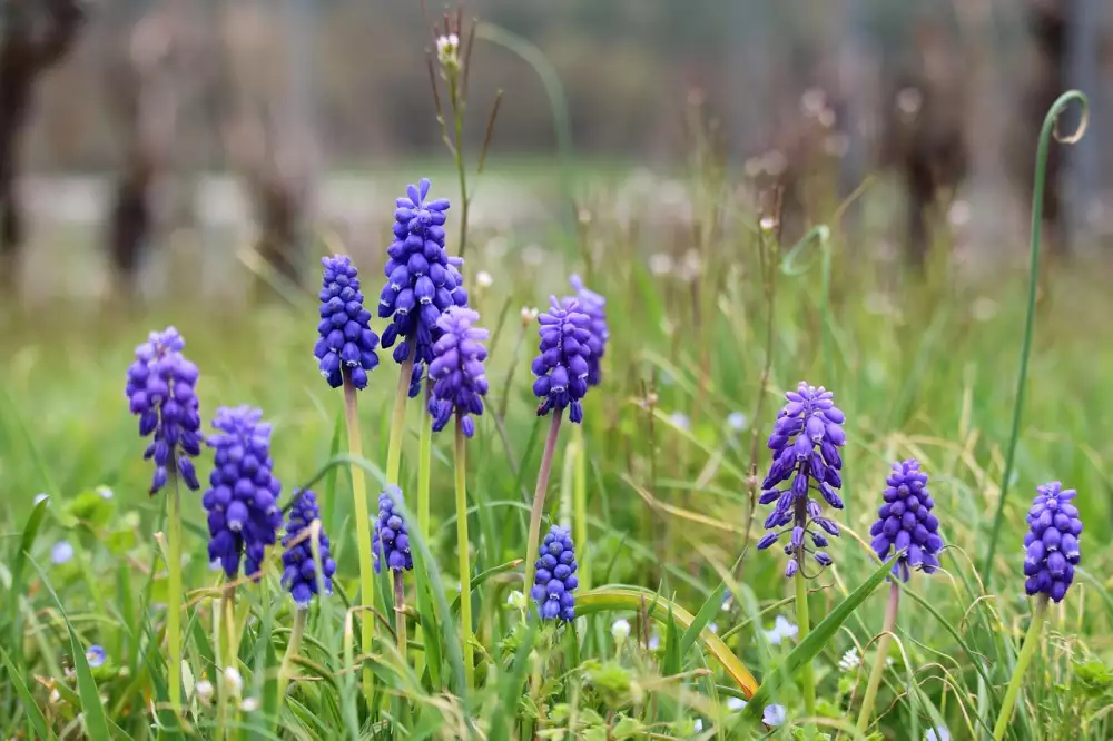Vložkování Komínů