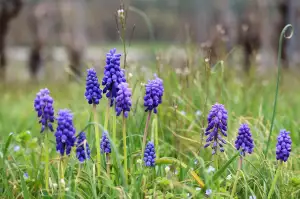 Vložkování Komínů